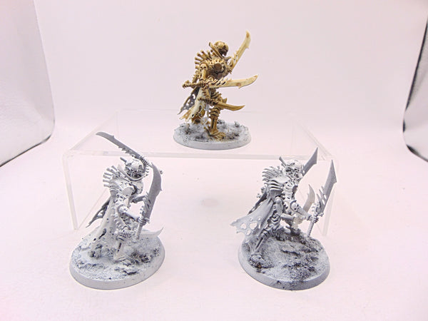 Necropolis Stalkers