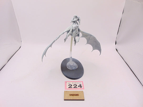 Stormdrake Guard