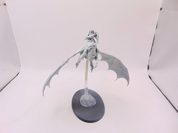 Stormdrake Guard