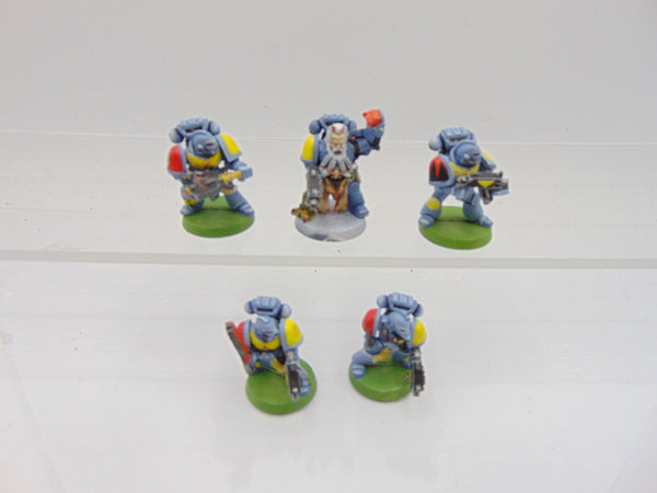 Space Wolves with Wolf Guard Sergeant