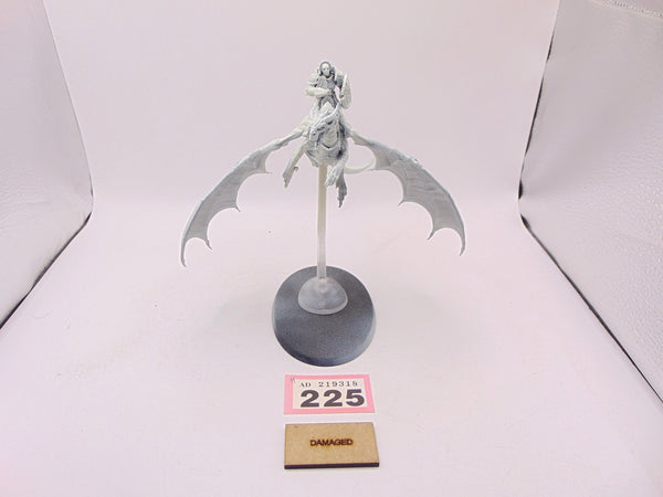 Stormdrake Guard