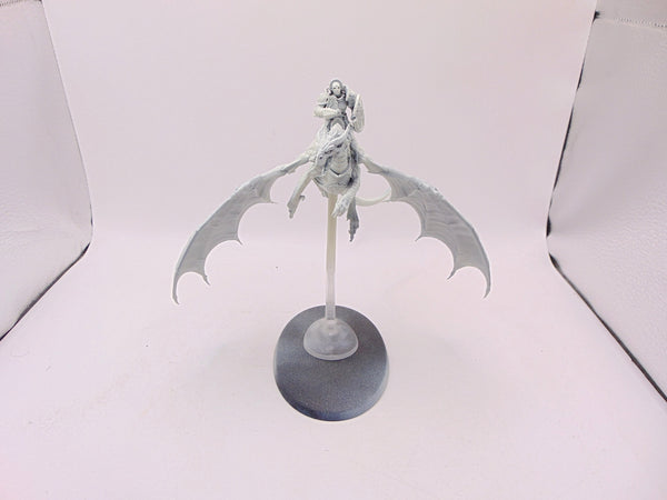 Stormdrake Guard