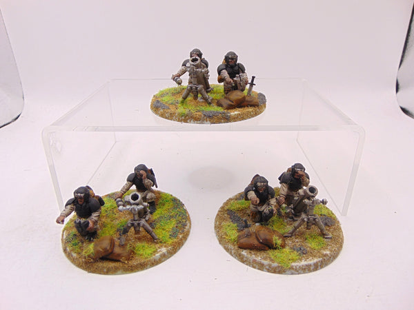 Cadian Heavy Weapons Squad