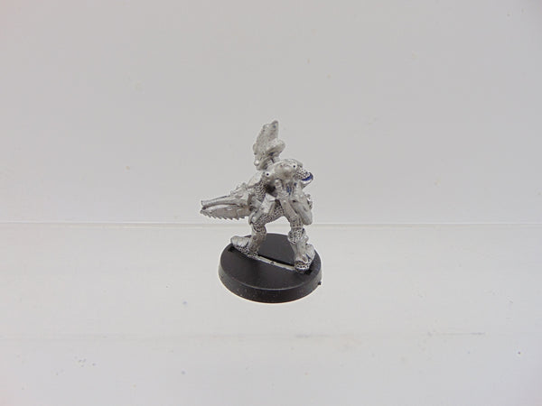 Space Elves Menhe Worldsong / Eldar Guardians Standard Bearer