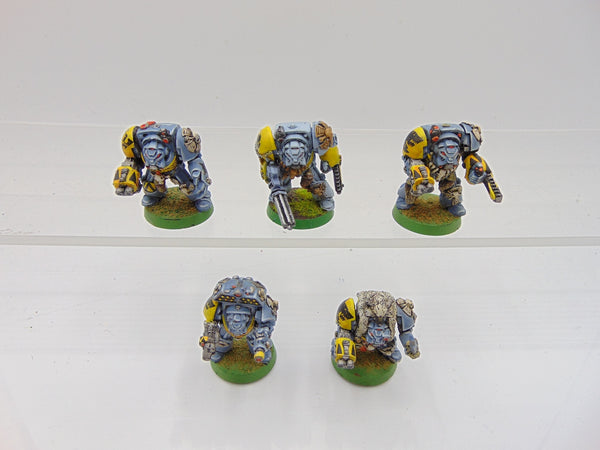 Wolf Guard Terminators