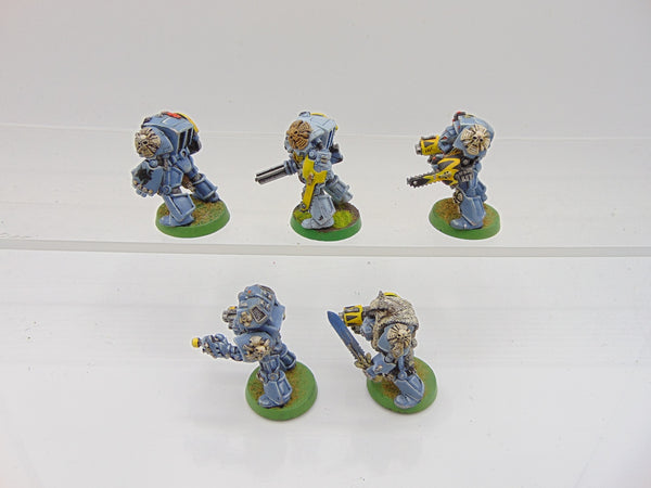 Wolf Guard Terminators