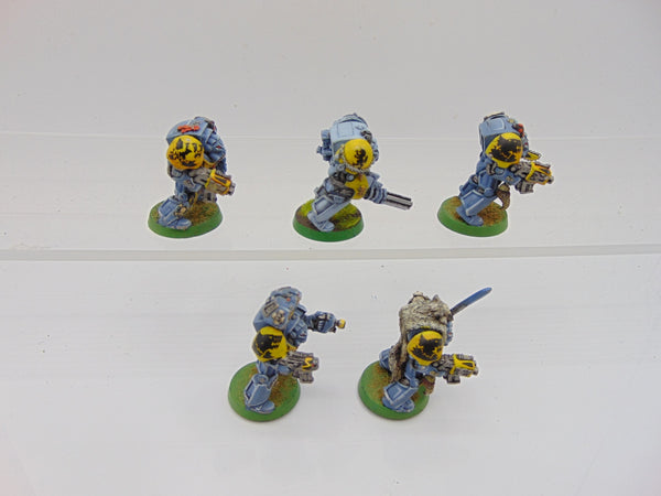 Wolf Guard Terminators