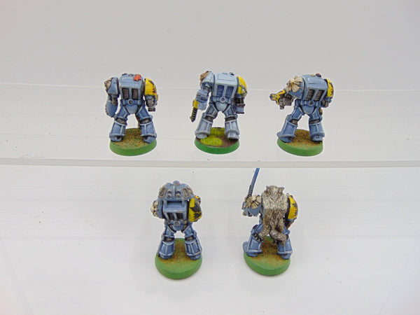 Wolf Guard Terminators