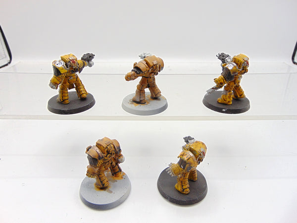 Cataphractii Terminator Squad