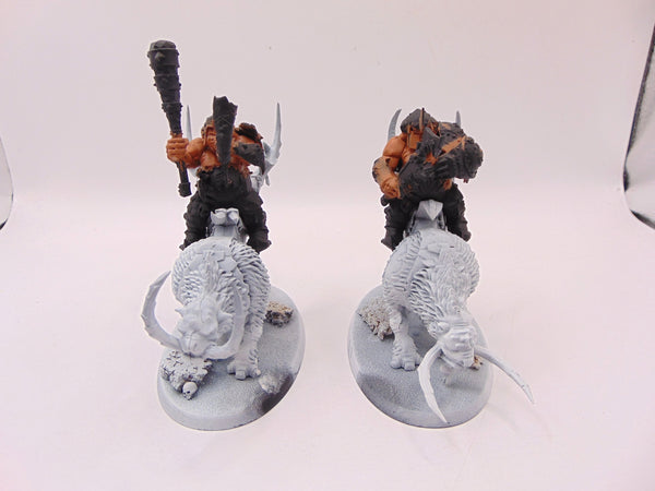 Mournfang Cavalry Pack