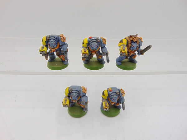 Wolf Guard Terminators