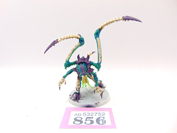 Lictor