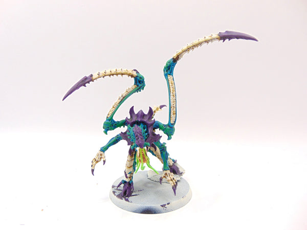 Lictor