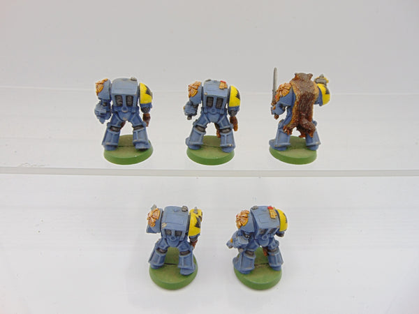 Wolf Guard Terminators