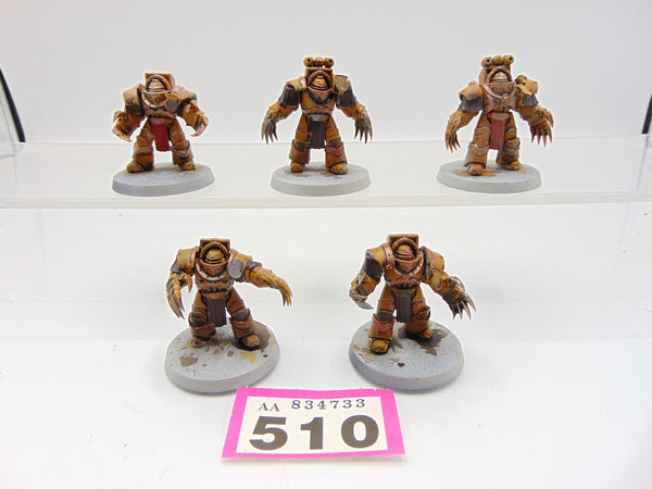Cataphractii Terminator Squad