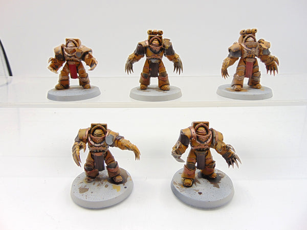 Cataphractii Terminator Squad