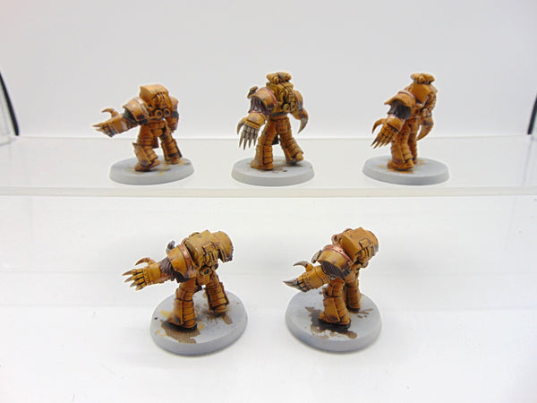 Cataphractii Terminator Squad