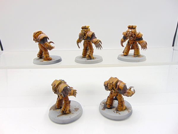 Cataphractii Terminator Squad