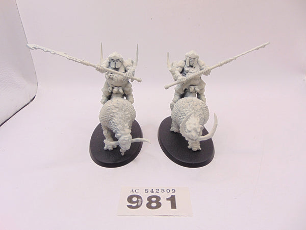 Mournfang Cavalry Pack