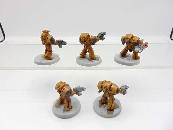 Cataphractii Terminator Squad