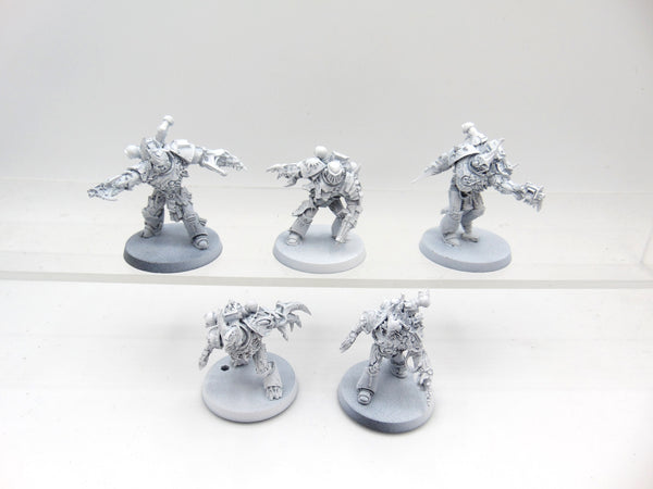 Gal Vorbak