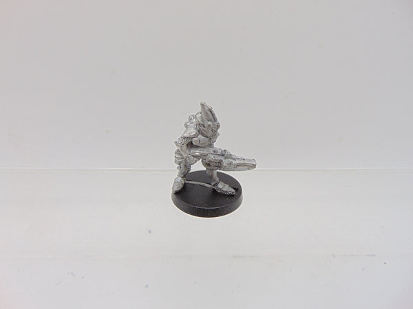 Space Elves Menhe Worldsong / Eldar Guardians Standard Bearer