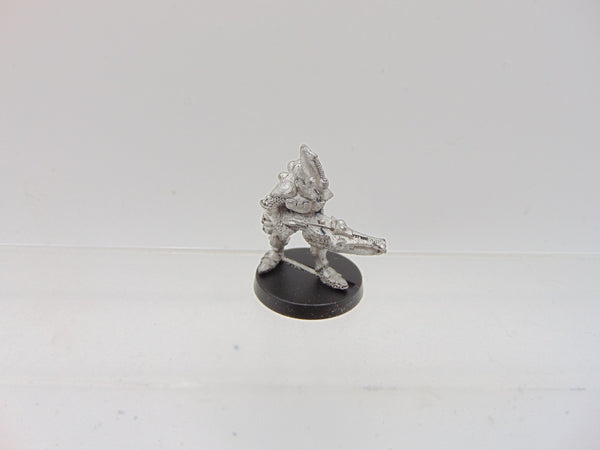 Space Elves Menhe Worldsong / Eldar Guardians Standard Bearer