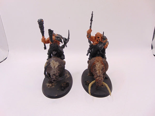 Mournfang Cavalry Pack