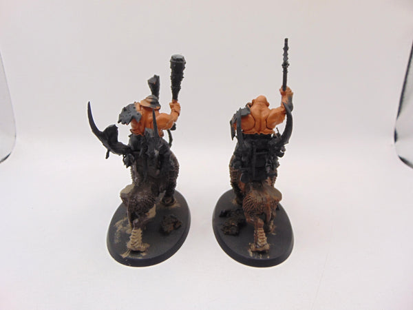 Mournfang Cavalry Pack