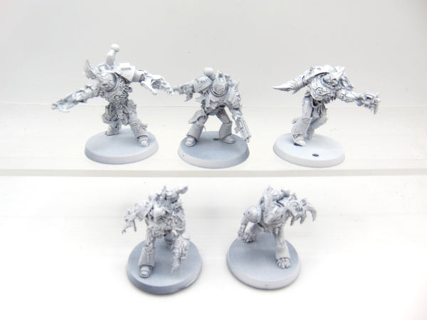 Gal Vorbak