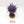 Purple Sun of Shyish