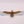 Great Eagle