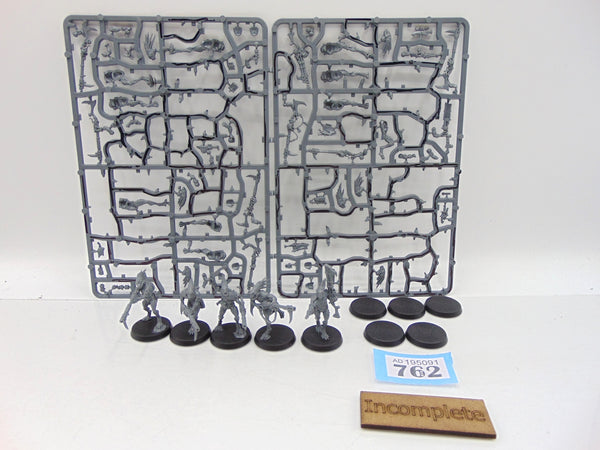 Kroot Carnivores