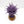 Purple Sun of Shyish
