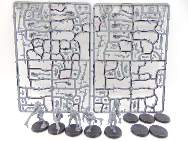 Kroot Carnivores