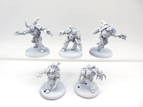 Gal Vorbak