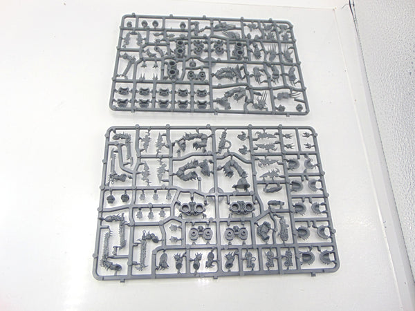 Raptors / Warp Talons