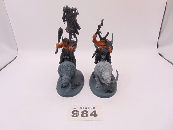 Mournfang Cavalry Pack