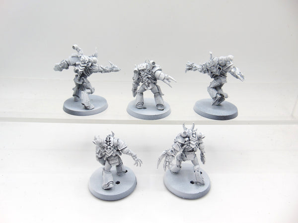 Gal Vorbak