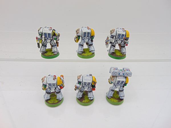 Wolf Guard Terminators