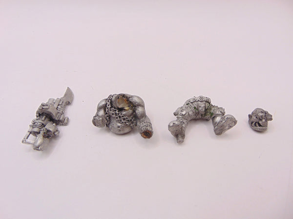 Ogryn