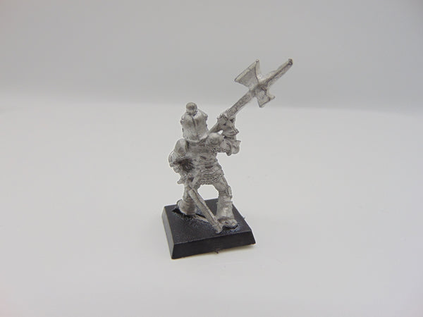 Empire Fighter Halberdier