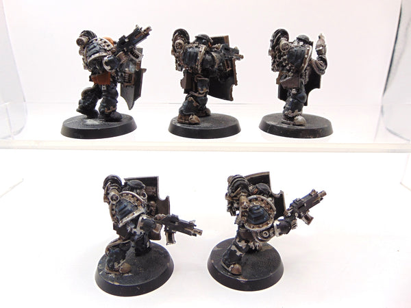 Medusan Immortals