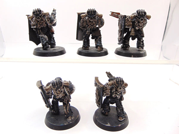Medusan Immortals