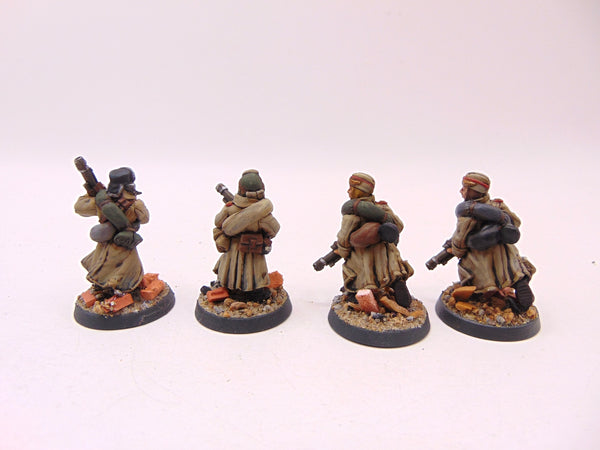 Valhallan Ice Warriors Troopers