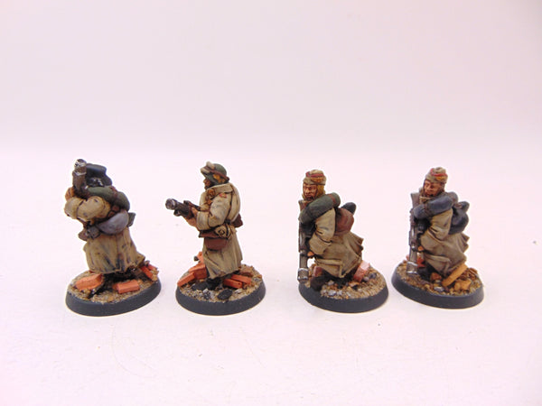 Valhallan Ice Warriors Troopers