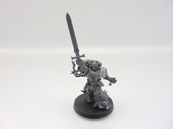 The Emperor's Champion