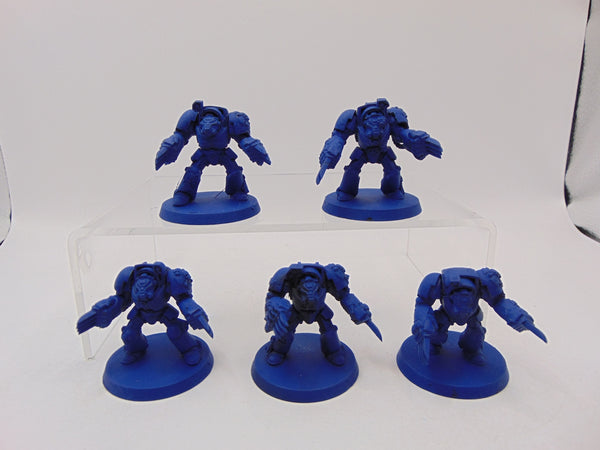 Terminator Squad