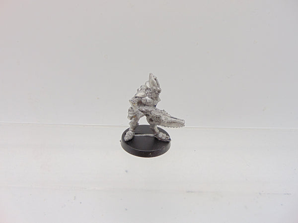 Space Elves Menhe Worldsong / Eldar Guardians Standard Bearer