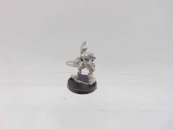 Space Elves Menhe Worldsong / Eldar Guardians Standard Bearer